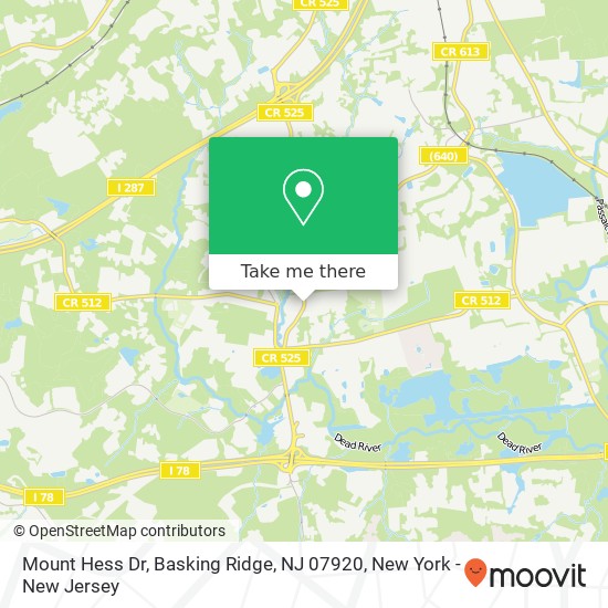 Mount Hess Dr, Basking Ridge, NJ 07920 map