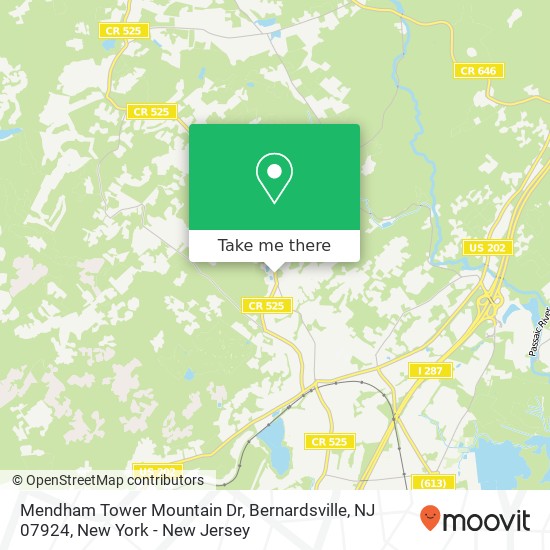 Mendham Tower Mountain Dr, Bernardsville, NJ 07924 map