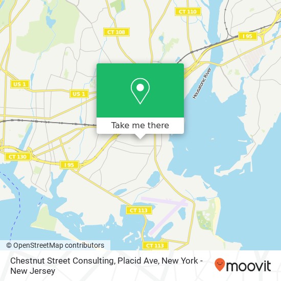 Mapa de Chestnut Street Consulting, Placid Ave