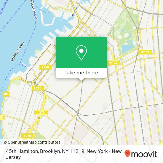 45th Hamilton, Brooklyn, NY 11219 map