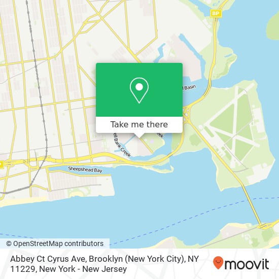 Abbey Ct Cyrus Ave, Brooklyn (New York City), NY 11229 map