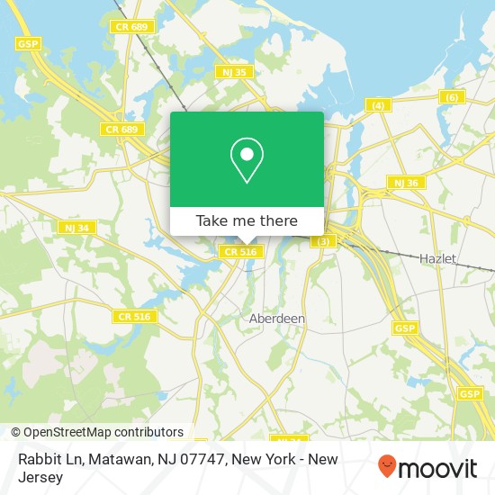 Mapa de Rabbit Ln, Matawan, NJ 07747