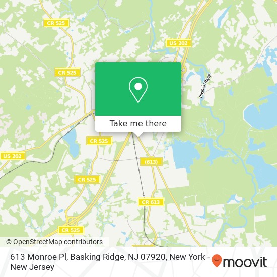 613 Monroe Pl, Basking Ridge, NJ 07920 map