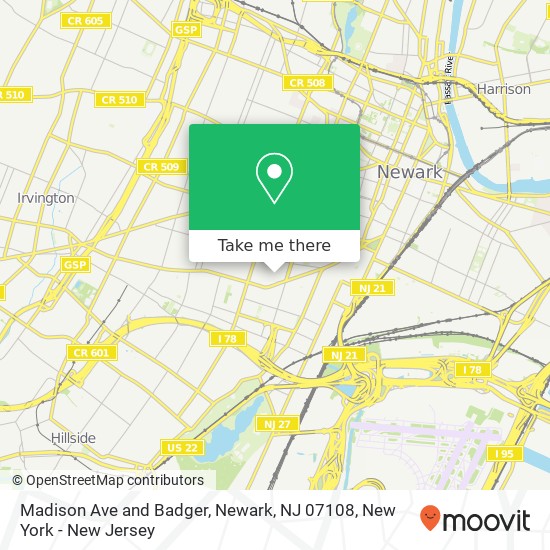 Mapa de Madison Ave and Badger, Newark, NJ 07108