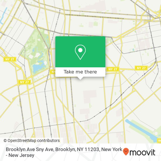 Brooklyn Ave Sny Ave, Brooklyn, NY 11203 map