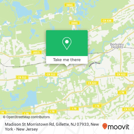 Mapa de Madison St Morristown Rd, Gillette, NJ 07933