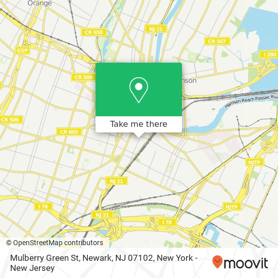 Mulberry Green St, Newark, NJ 07102 map