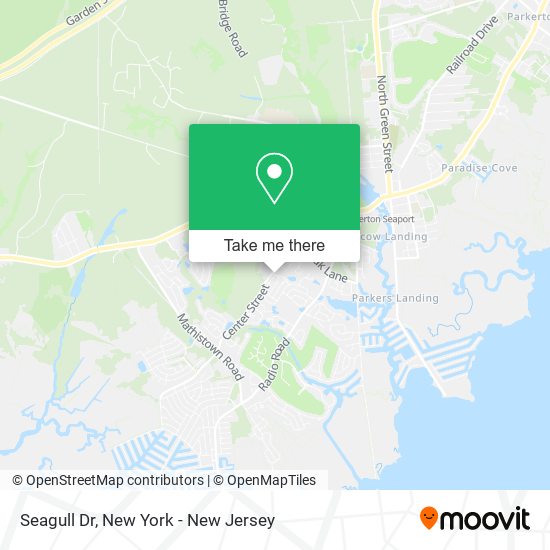 Seagull Dr map