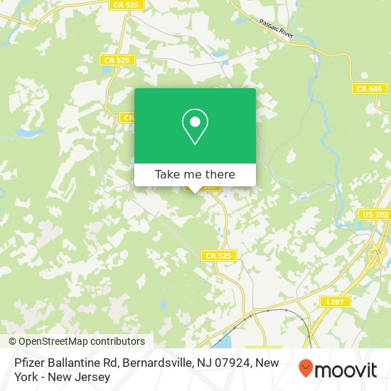 Mapa de Pfizer Ballantine Rd, Bernardsville, NJ 07924