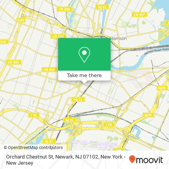 Orchard Chestnut St, Newark, NJ 07102 map