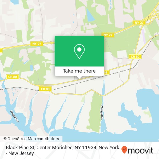 Black Pine St, Center Moriches, NY 11934 map