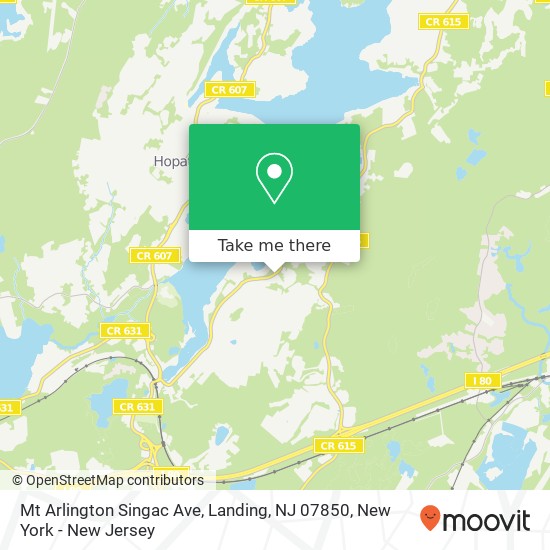 Mt Arlington Singac Ave, Landing, NJ 07850 map