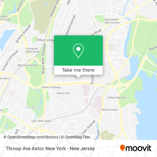 Throop Ave Astor map