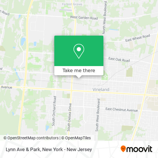 Lynn Ave & Park map