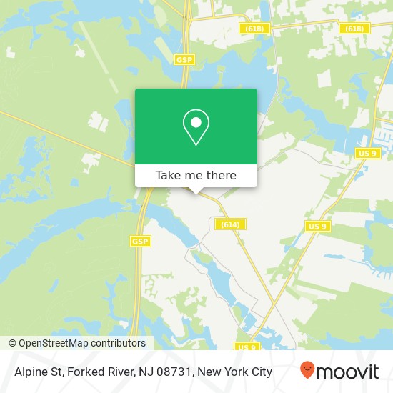 Alpine St, Forked River, NJ 08731 map