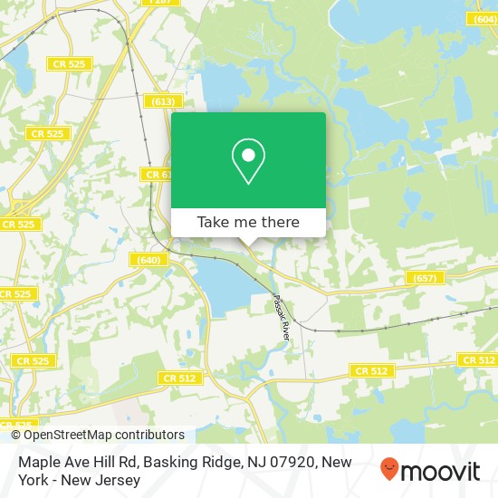 Mapa de Maple Ave Hill Rd, Basking Ridge, NJ 07920