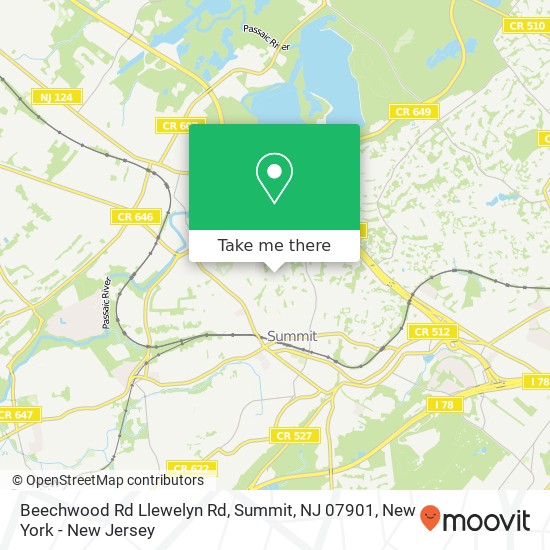 Beechwood Rd Llewelyn Rd, Summit, NJ 07901 map