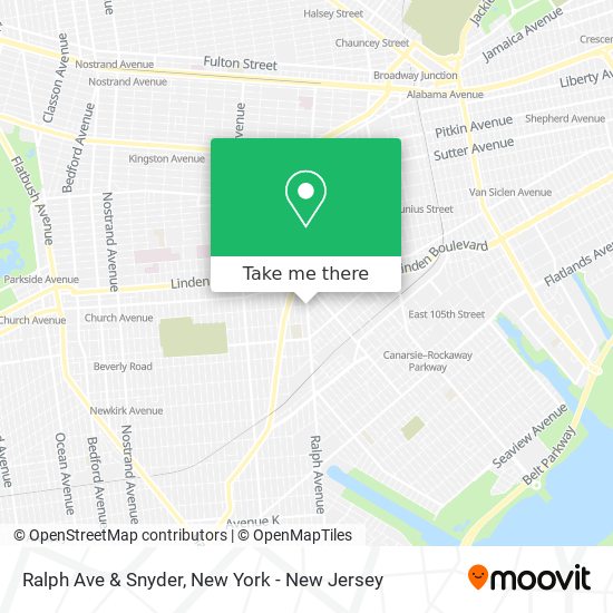 Ralph Ave & Snyder map