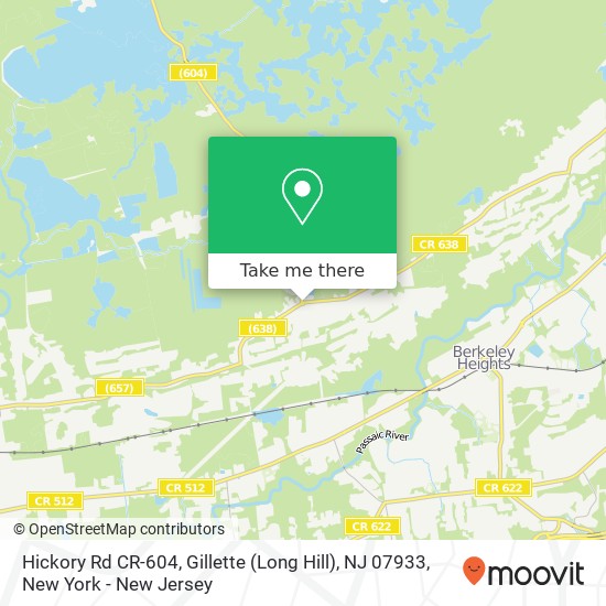 Hickory Rd CR-604, Gillette (Long Hill), NJ 07933 map
