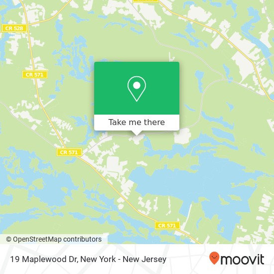 Mapa de 19 Maplewood Dr, Jackson, NJ 08527