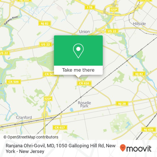 Ranjana Ohri-Govil, MD, 1050 Galloping Hill Rd map