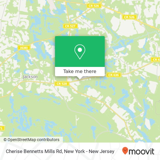 Cherise Bennetts Mills Rd, Jackson, NJ 08527 map
