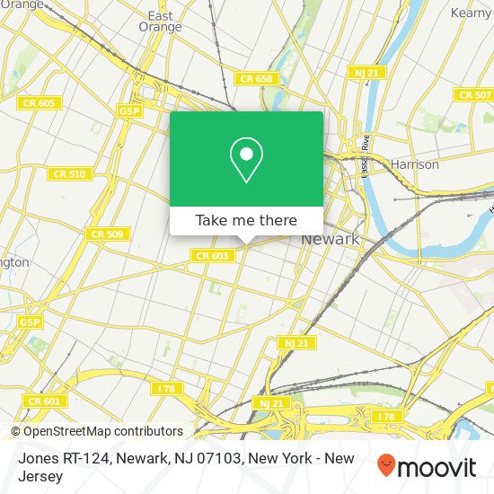 Mapa de Jones RT-124, Newark, NJ 07103