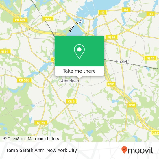 Temple Beth Ahm map