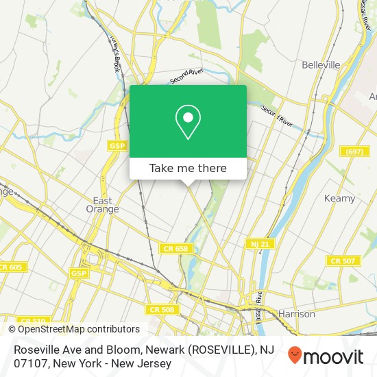 Roseville Ave and Bloom, Newark (ROSEVILLE), NJ 07107 map