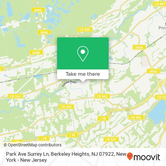 Mapa de Park Ave Surrey Ln, Berkeley Heights, NJ 07922