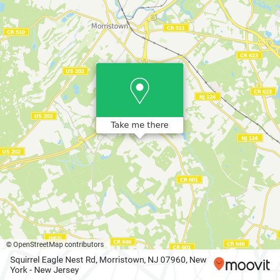 Squirrel Eagle Nest Rd, Morristown, NJ 07960 map