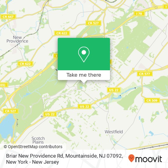 Mapa de Briar New Providence Rd, Mountainside, NJ 07092