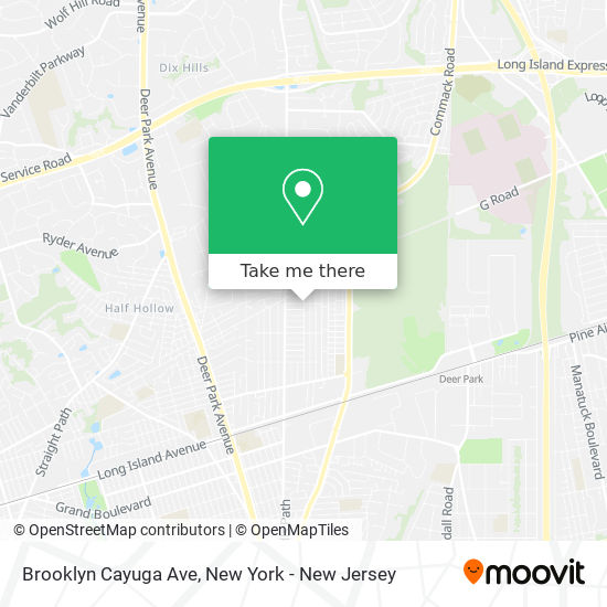 Brooklyn Cayuga Ave map