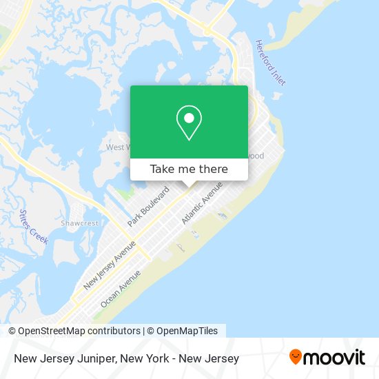 Mapa de New Jersey Juniper