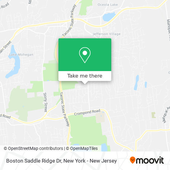 Boston Saddle Ridge Dr map