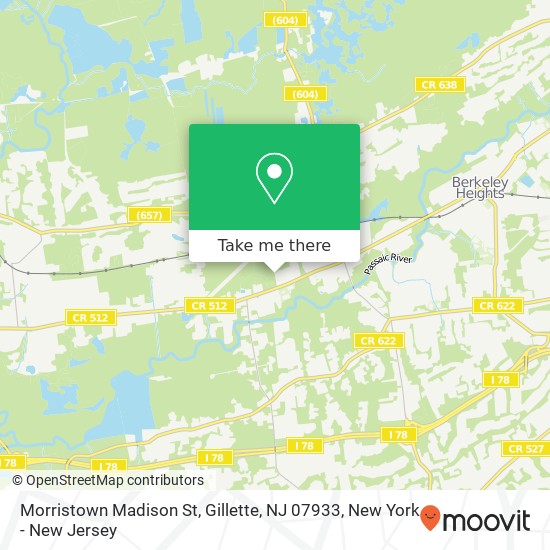 Morristown Madison St, Gillette, NJ 07933 map