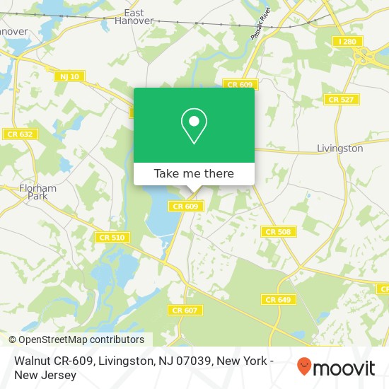 Walnut CR-609, Livingston, NJ 07039 map