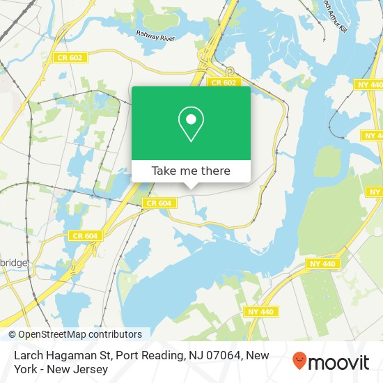 Larch Hagaman St, Port Reading, NJ 07064 map