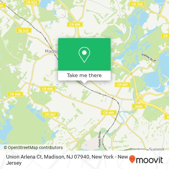 Mapa de Union Arlena Ct, Madison, NJ 07940