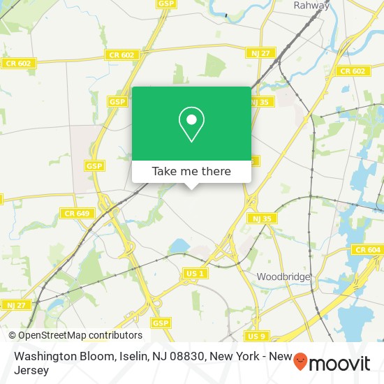 Mapa de Washington Bloom, Iselin, NJ 08830