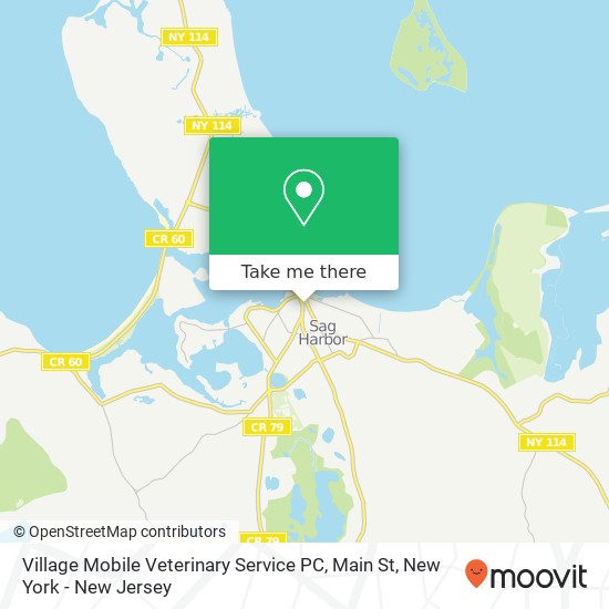 Mapa de Village Mobile Veterinary Service PC, Main St