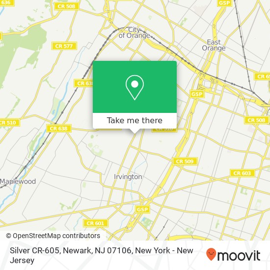 Mapa de Silver CR-605, Newark, NJ 07106
