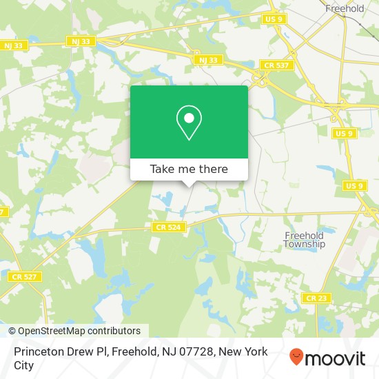 Princeton Drew Pl, Freehold, NJ 07728 map