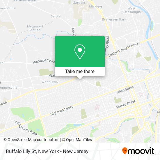 Mapa de Buffalo Lily St