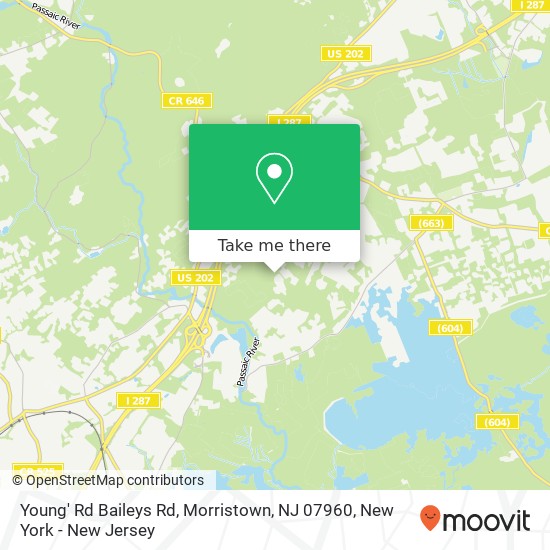 Mapa de Young' Rd Baileys Rd, Morristown, NJ 07960