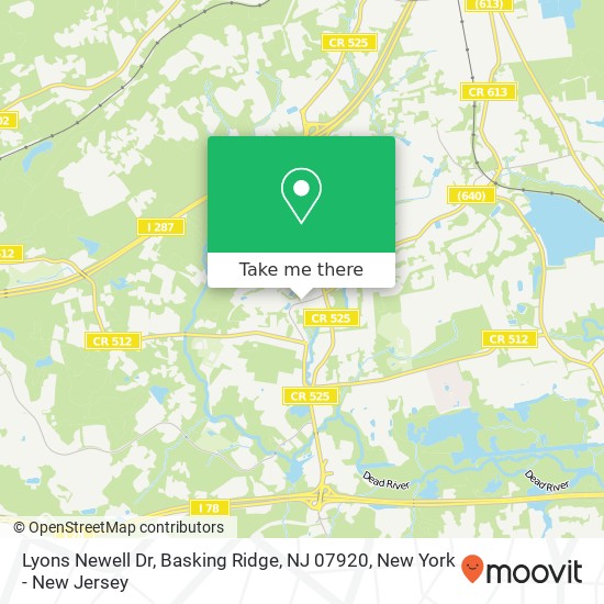 Mapa de Lyons Newell Dr, Basking Ridge, NJ 07920