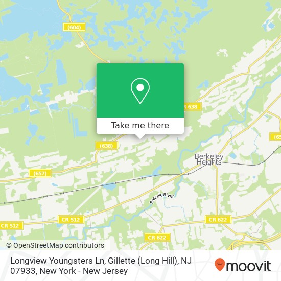 Longview Youngsters Ln, Gillette (Long Hill), NJ 07933 map