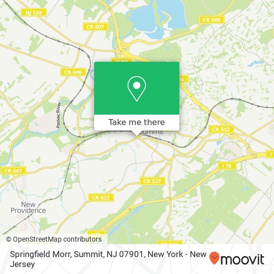 Springfield Morr, Summit, NJ 07901 map