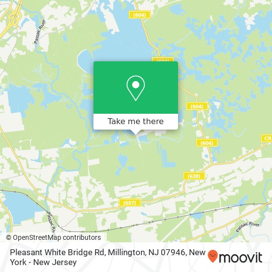 Mapa de Pleasant White Bridge Rd, Millington, NJ 07946