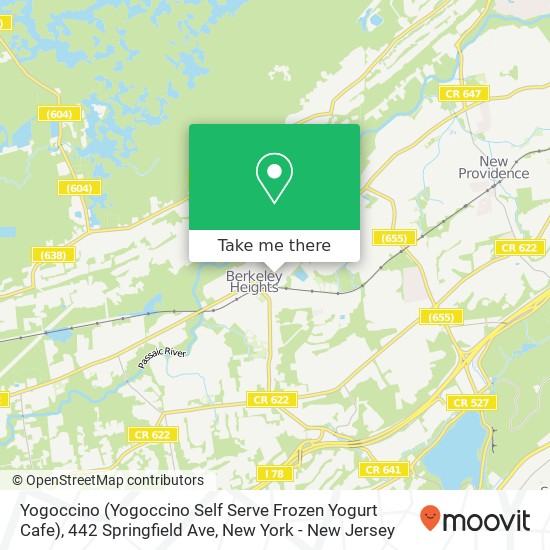 Yogoccino (Yogoccino Self Serve Frozen Yogurt Cafe), 442 Springfield Ave map